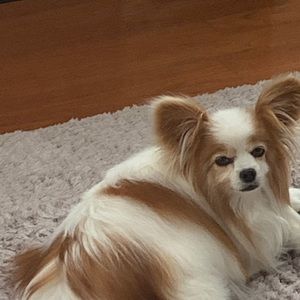 Meet your Posher, Marissa